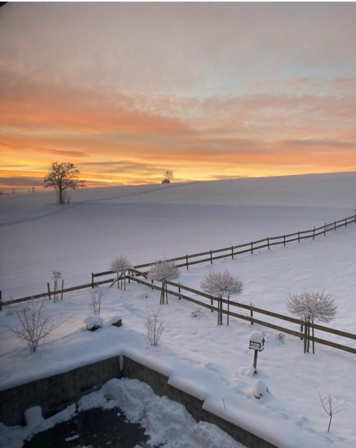 Landhotel Flora & Fauna (Adults Only) Winterberg Exterior photo