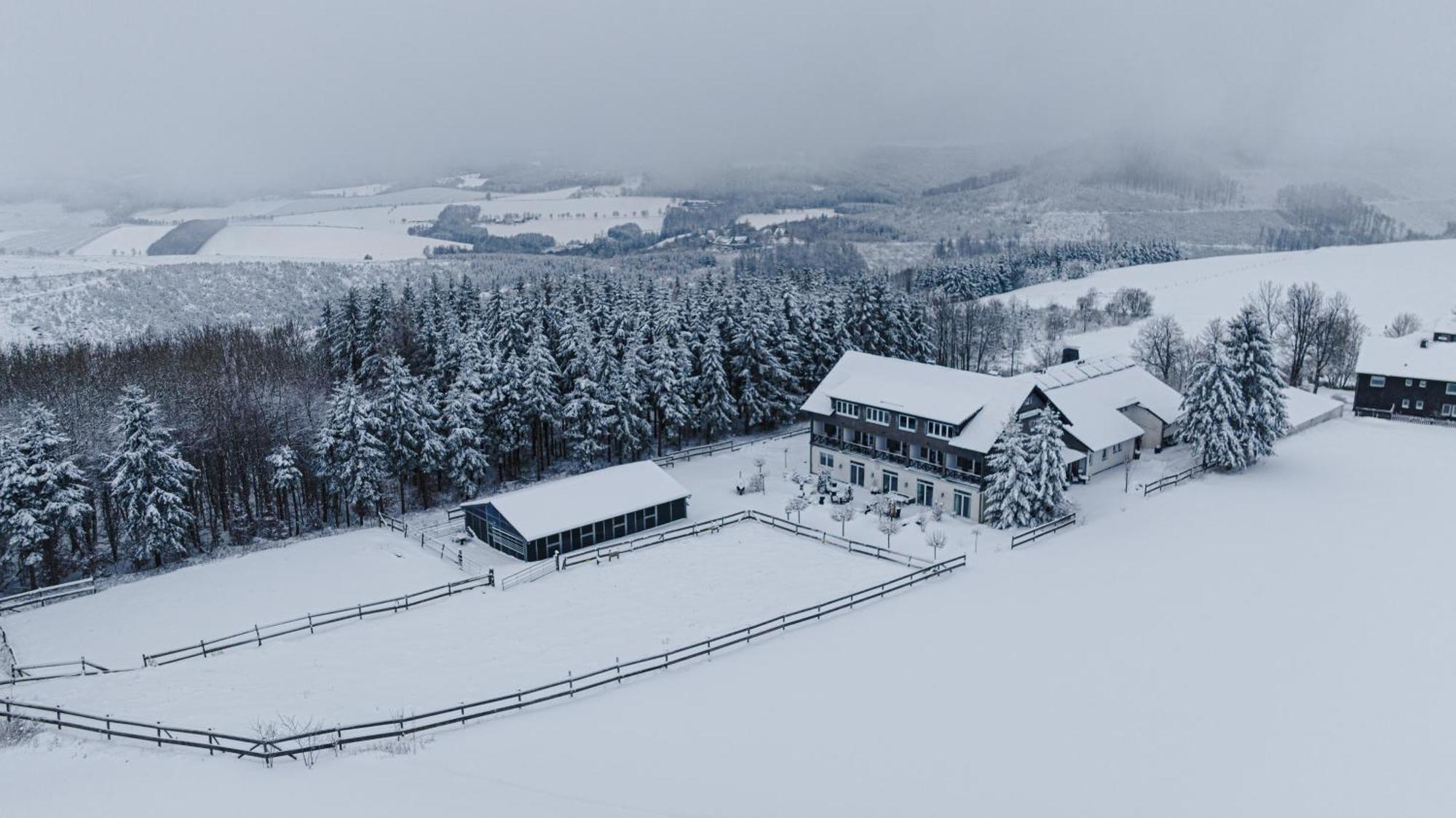 Landhotel Flora & Fauna (Adults Only) Winterberg Exterior photo